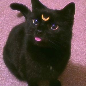 Meet your Posher, Skyler